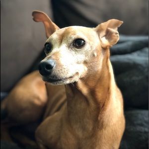 Meet your Posher, Ryan anton